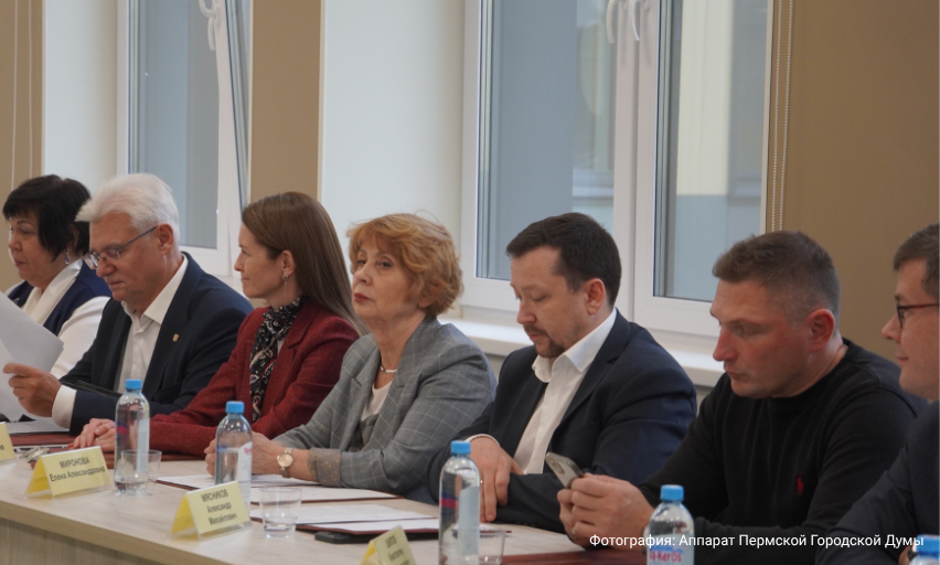 Вице-президент приняла участие в заседании Общественного совета при Пермской городской Думе