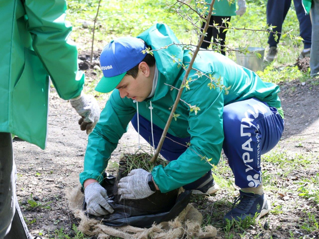 Высадка деревьев 3.jpg