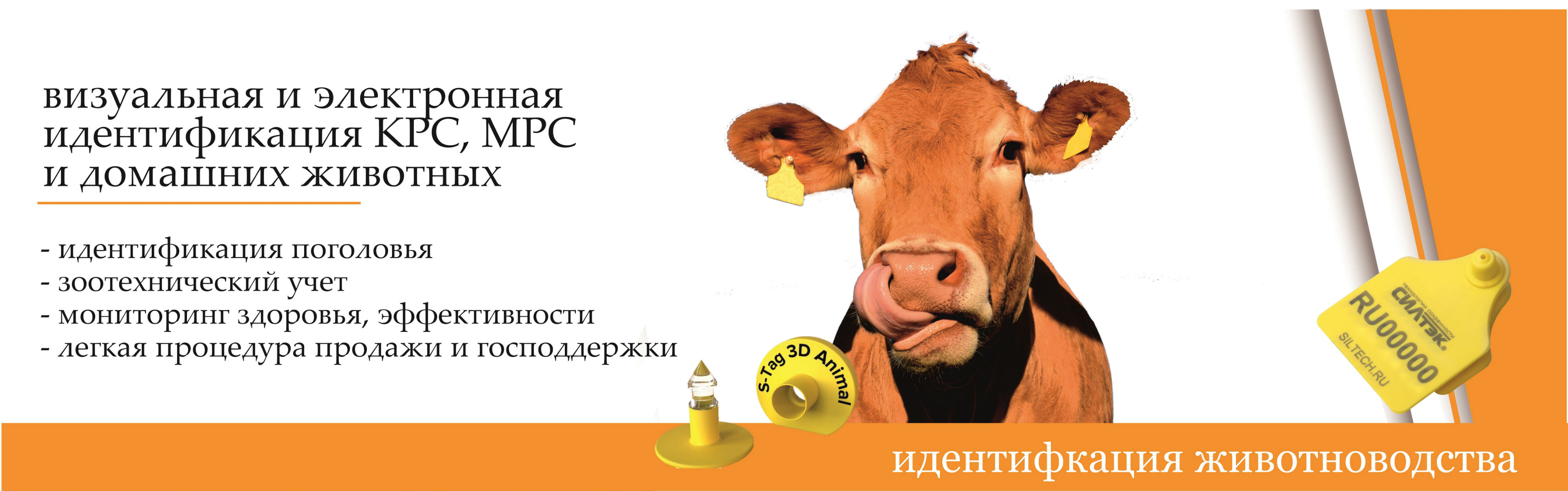 баннер жтивотные.jpg