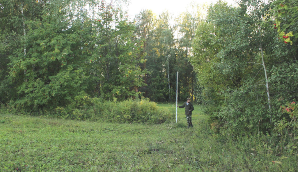 Пармайлово I, городище. Площадка и вал..jpg Пармайлово I, городище. Площадка и вал..jpg