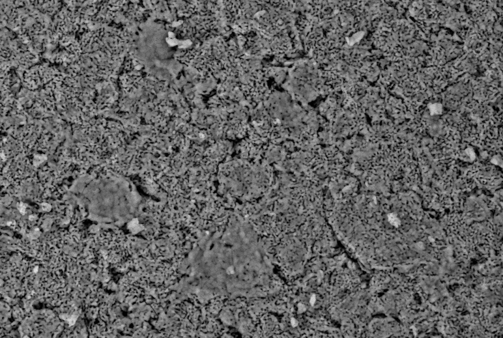 Автор и истоник Пресс-служба ПНИПУ (3).jpg