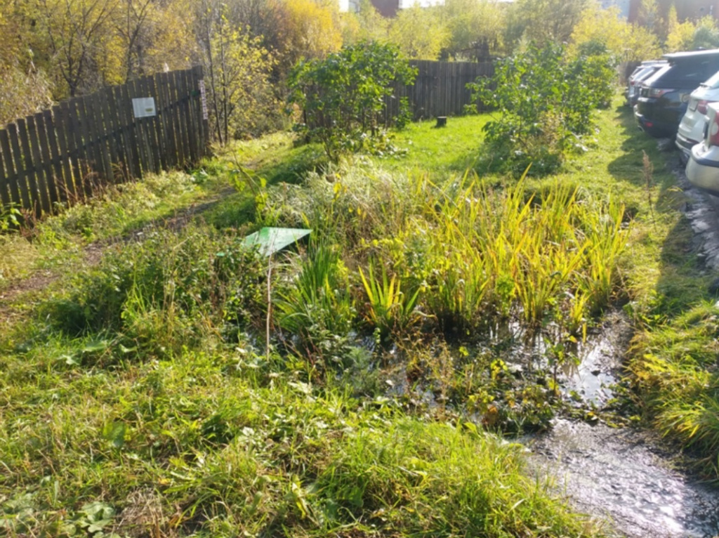 Вид на дождевой сад в Перми.jpg Вид на дождевой сад в Перми.jpg