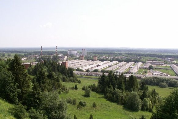 свинокомплекс.jpg