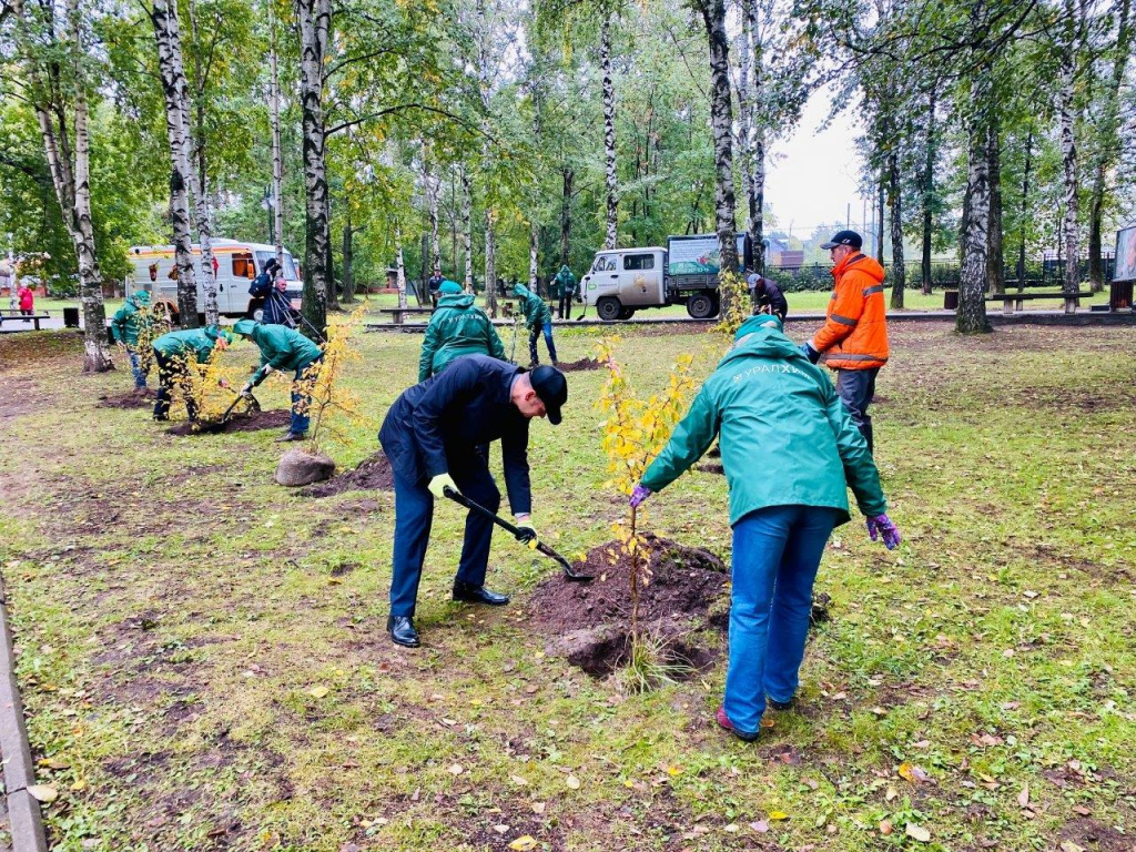 Высадка деревьев 1.jpg Высадка деревьев 1.jpg