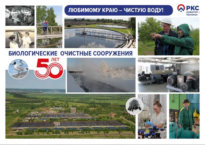 БОС 50 лет (2).JPG