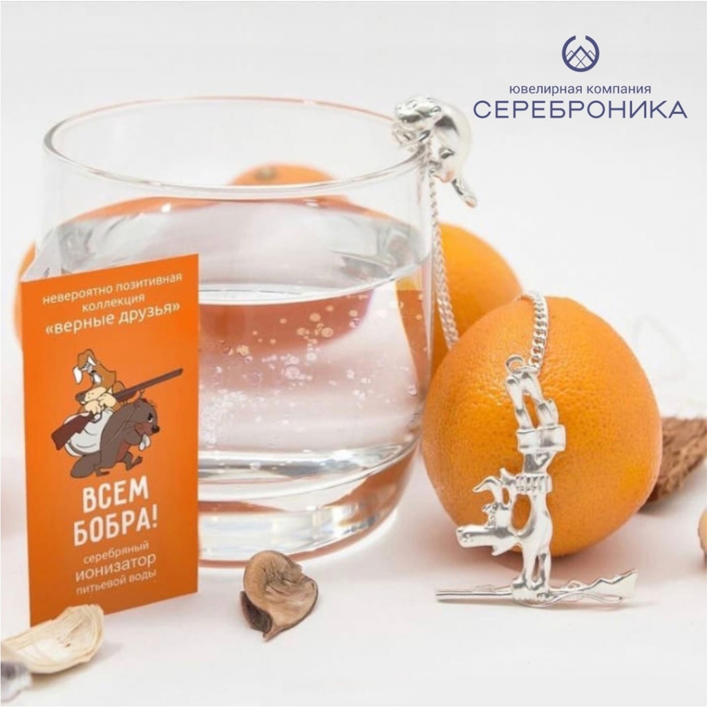 сереброника2.jpg